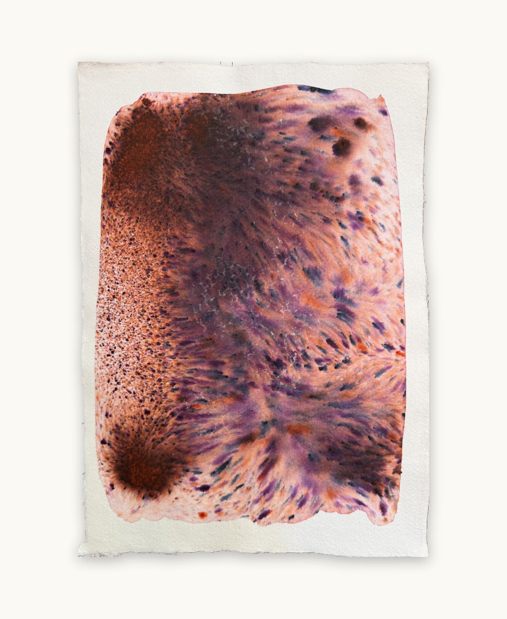 Dye study 17