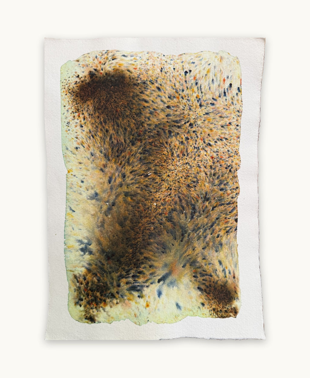 Dye study 18