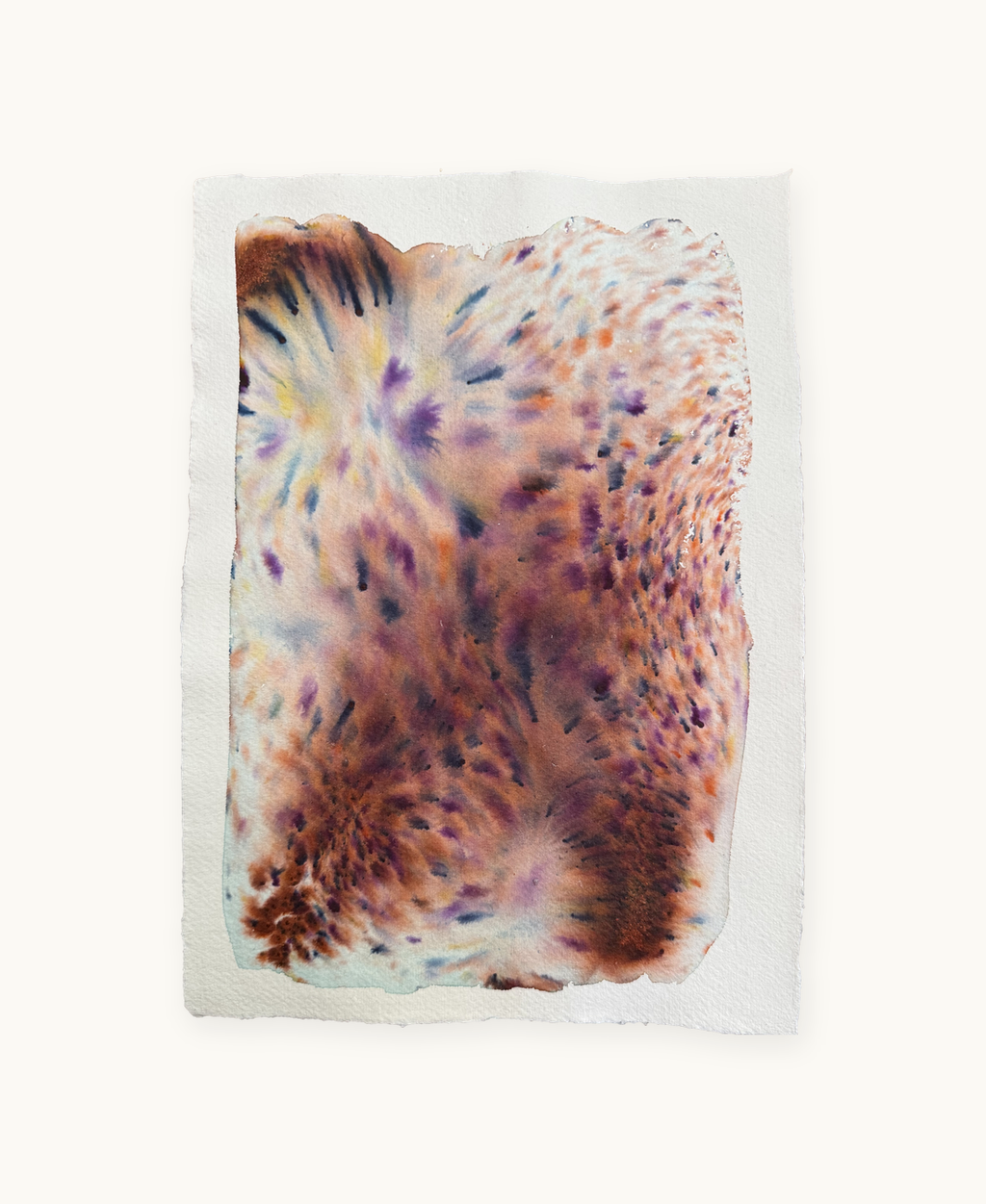 Dye study 8