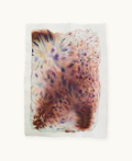 Dye study 8
