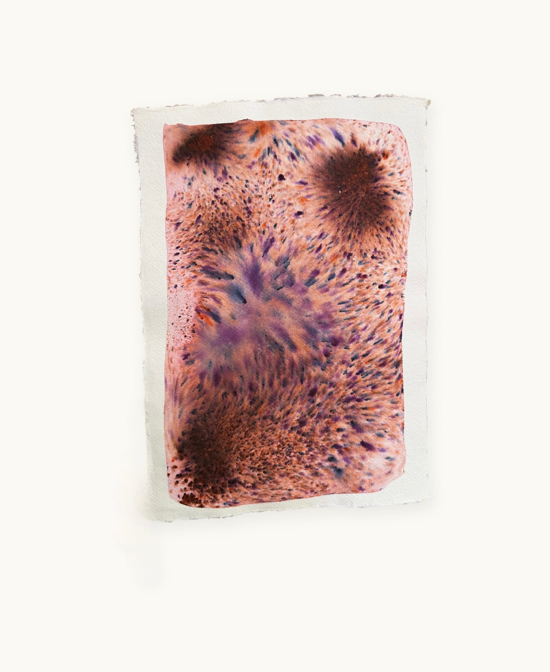 Dye study 9