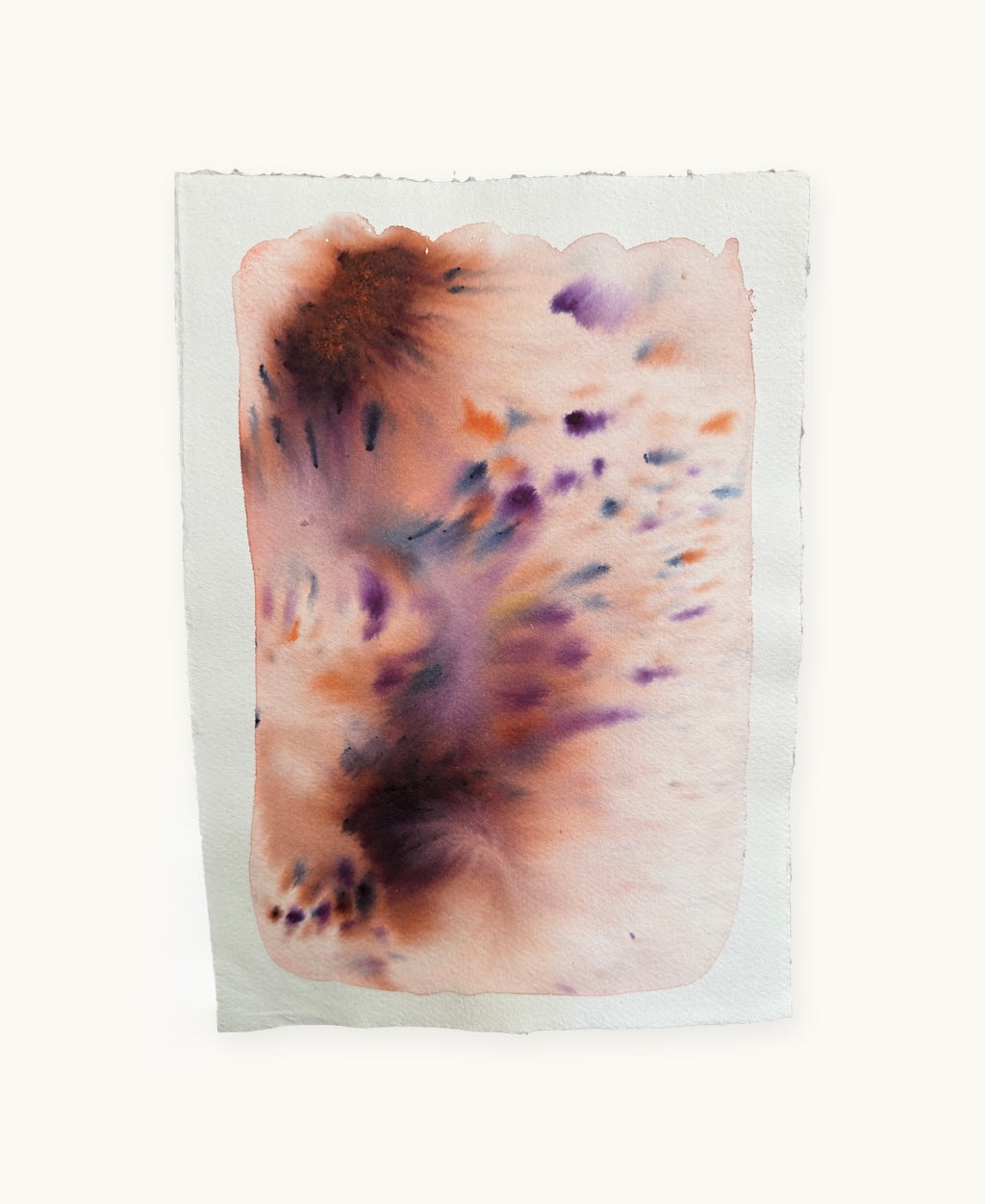 Dye study 11