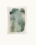 Dye study 12