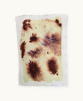 Dye study 13