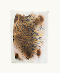 Dye study 3