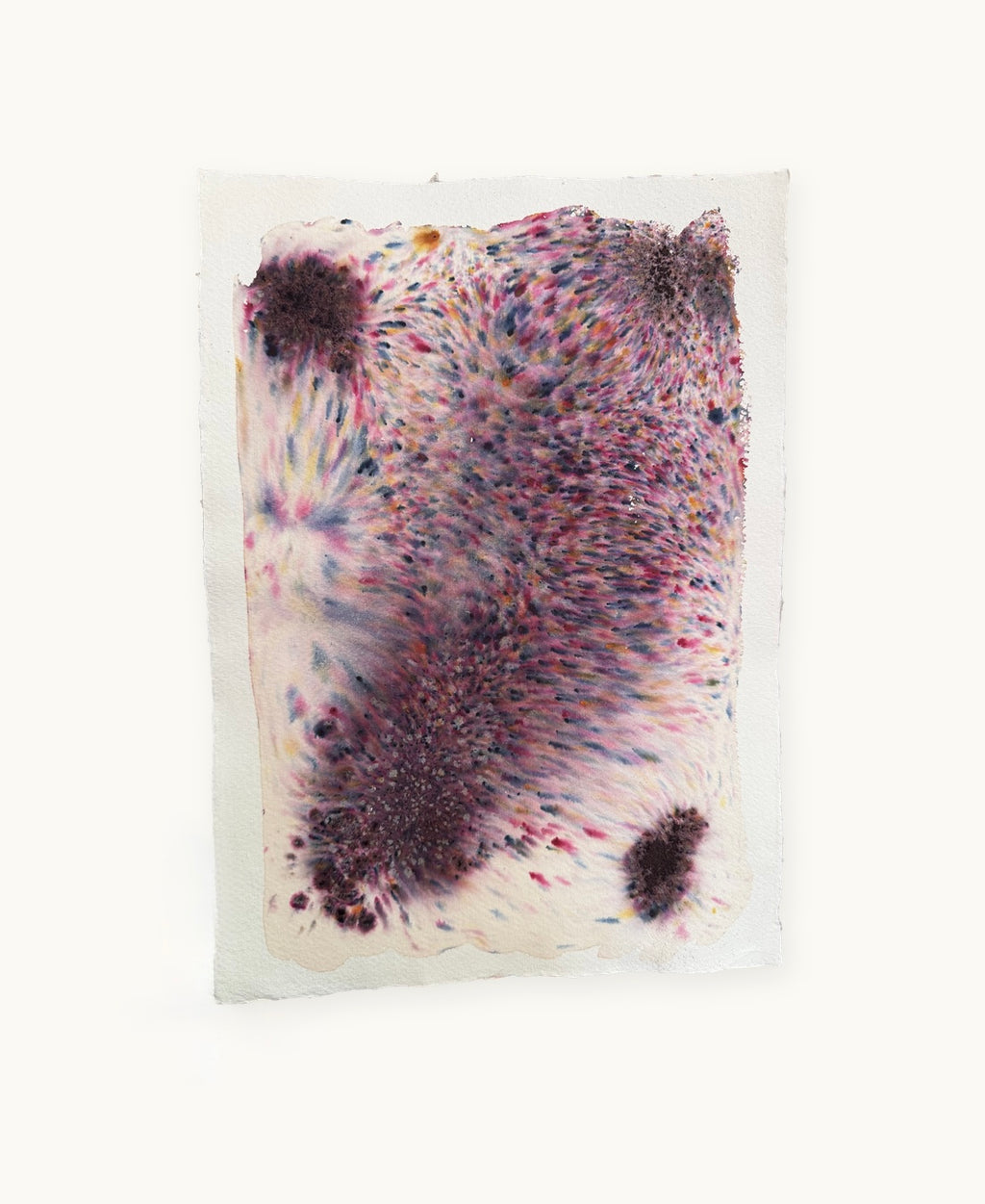 Dye study 5