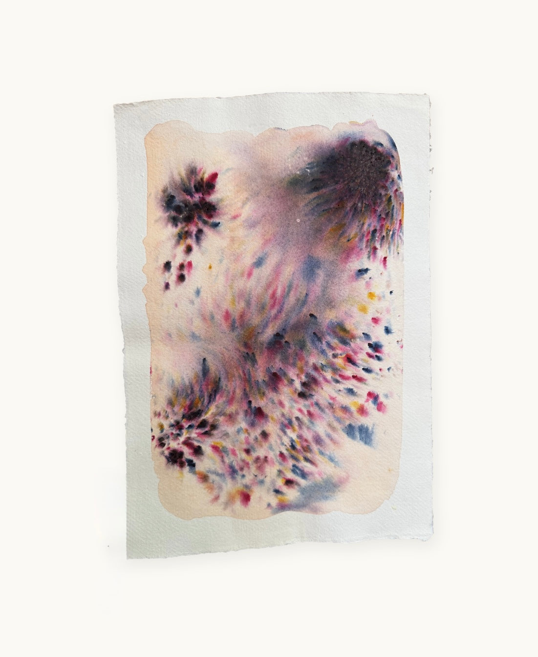 Dye study 6
