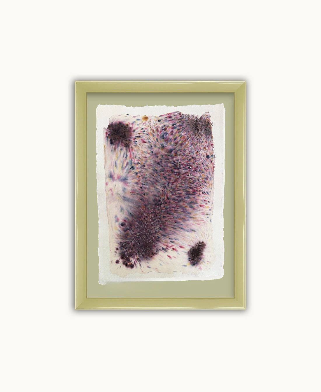 Dye study 5