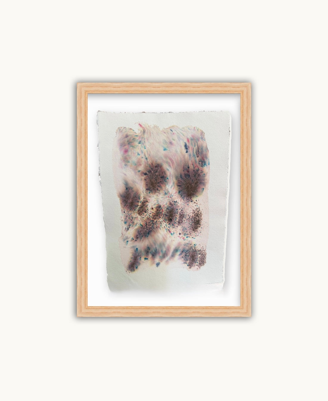Dye study 19