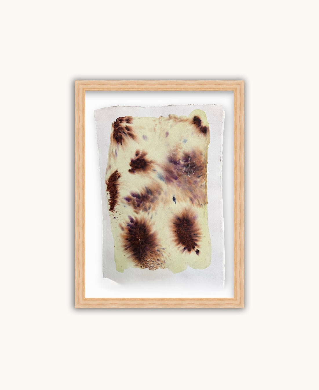 Dye study 13