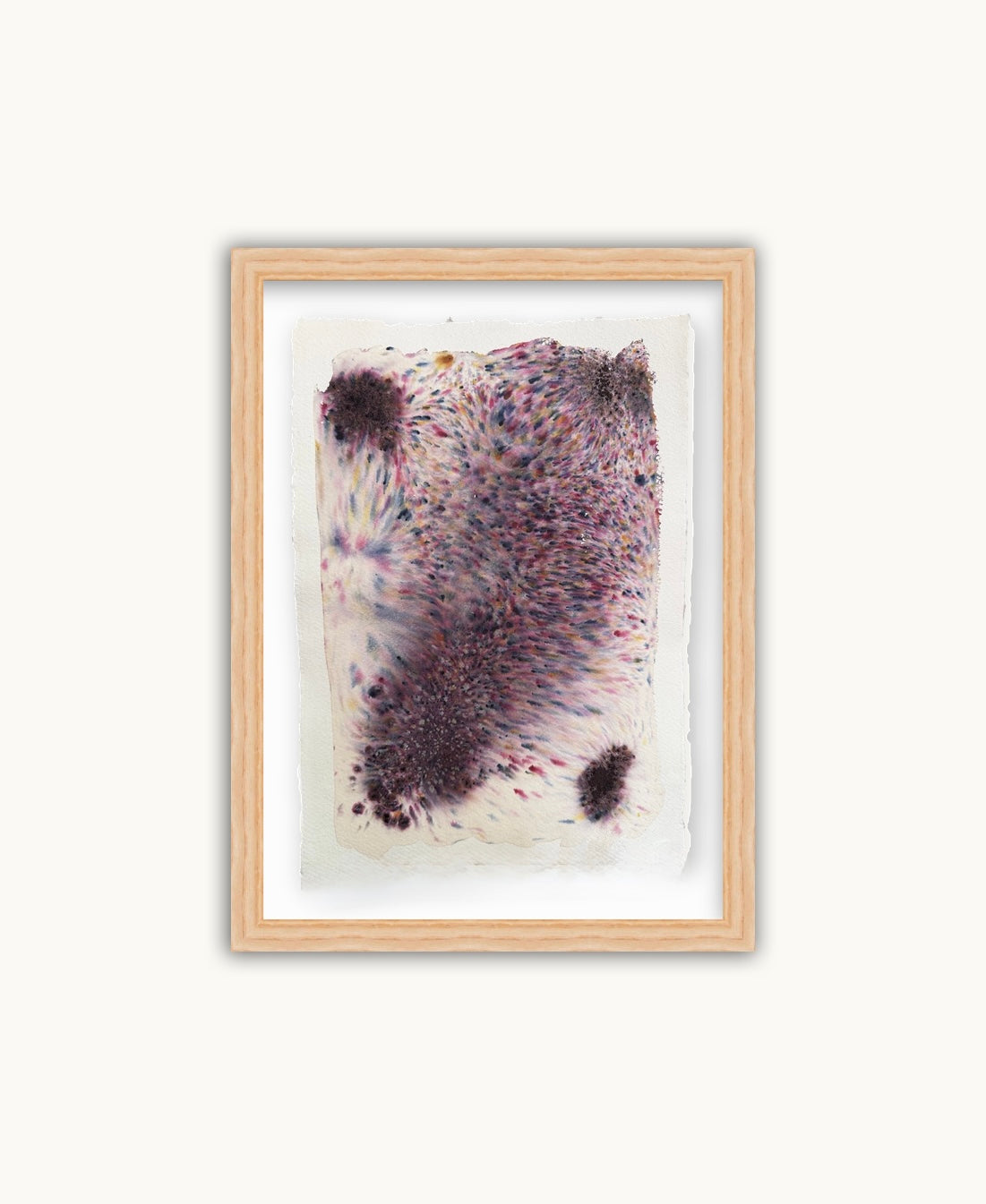 Dye study 5