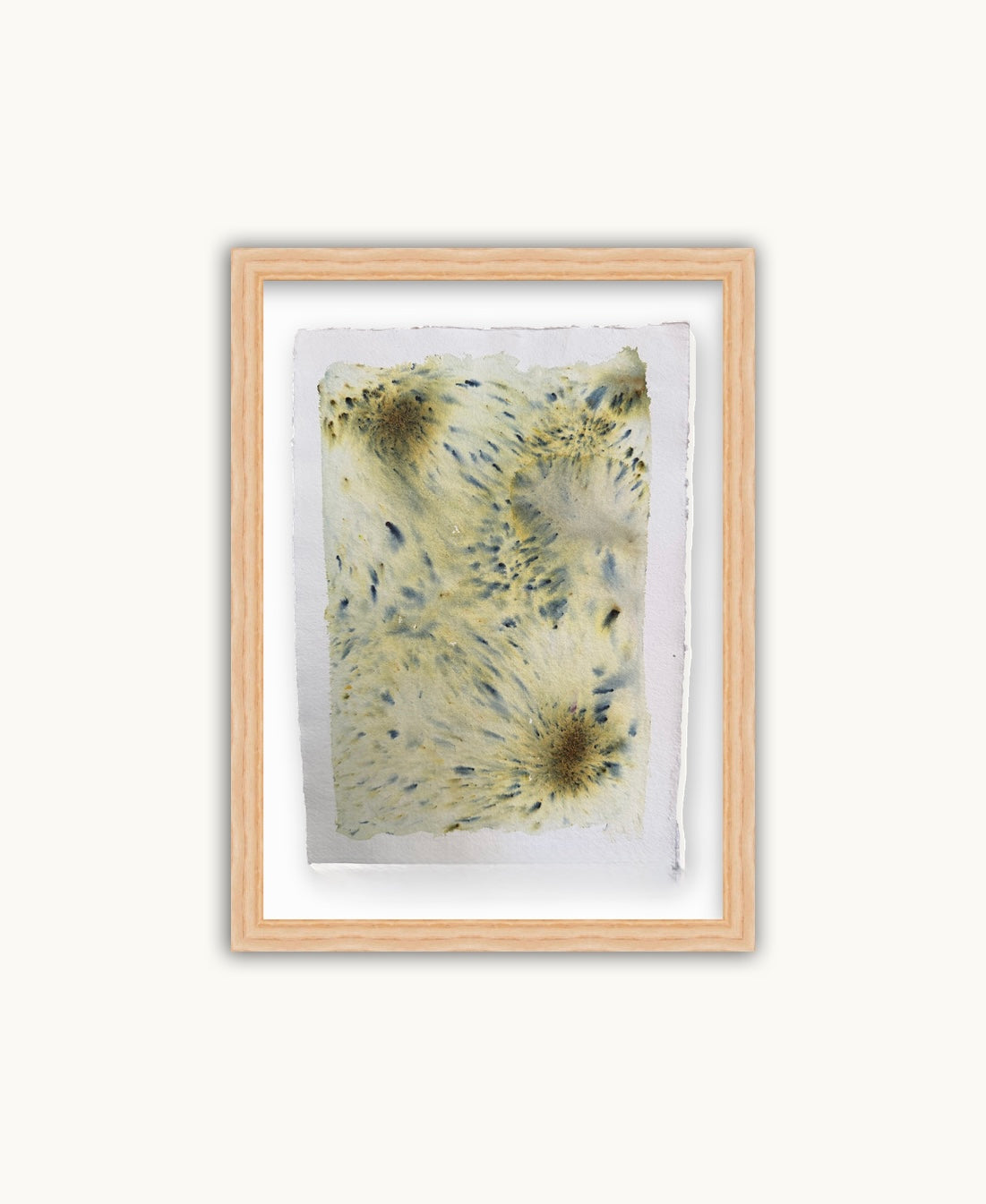 Dye study 22