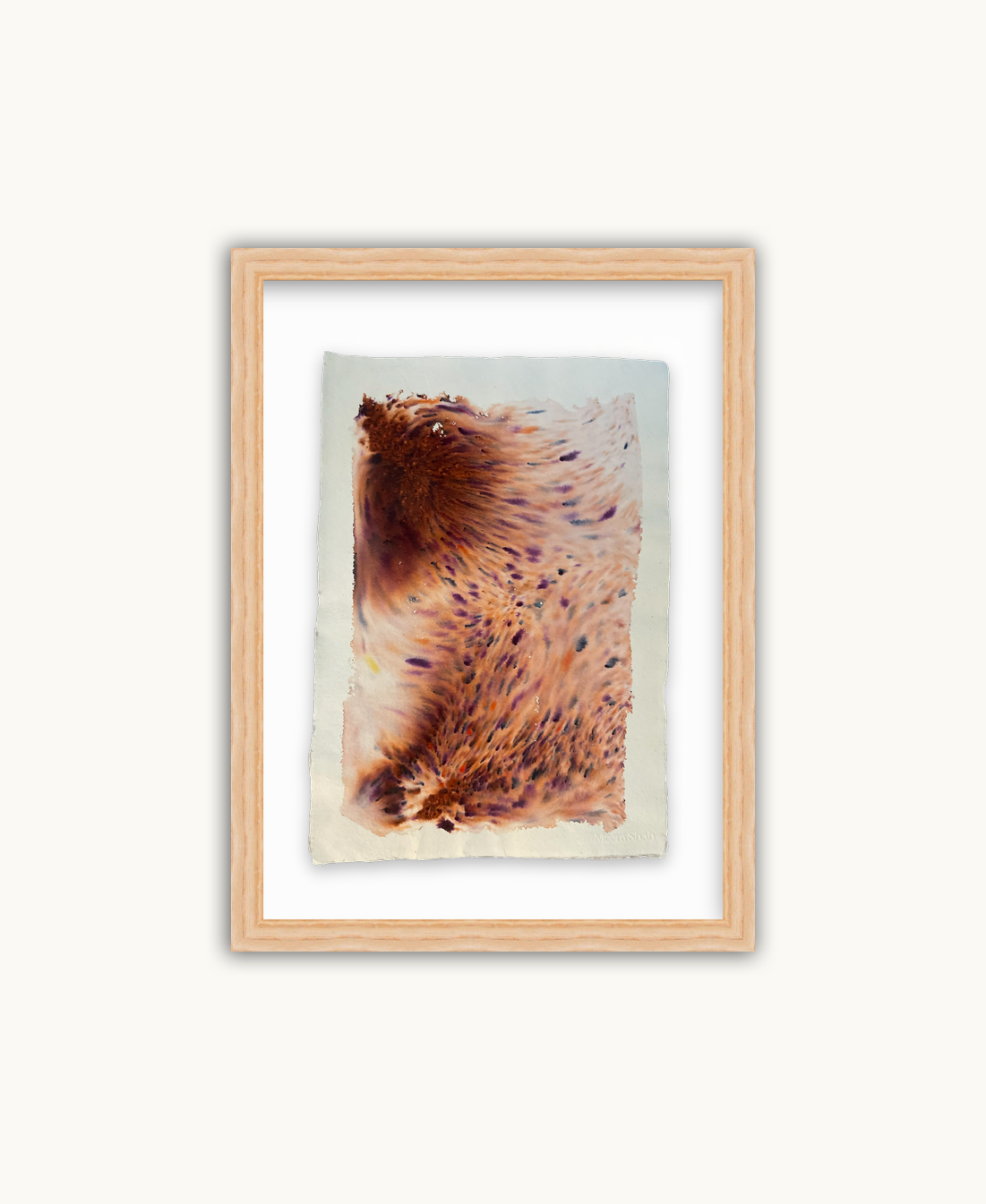 Dye study 24