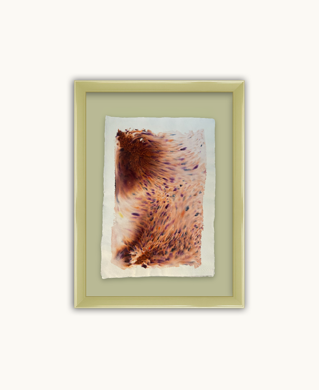 Dye study 24
