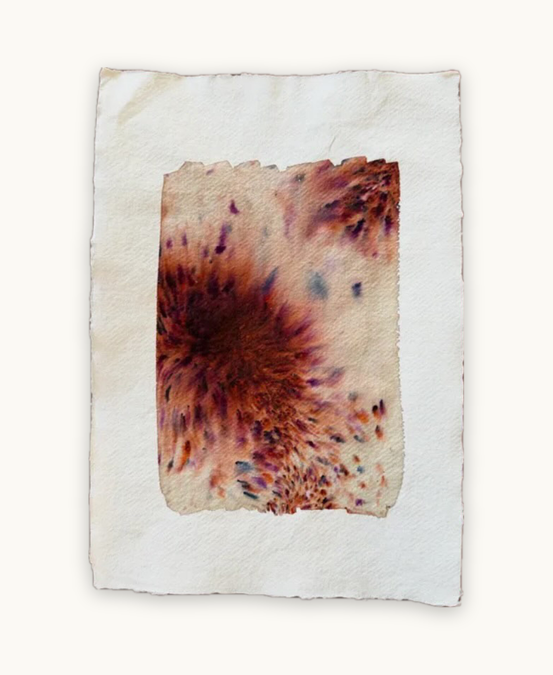 Dye study 25
