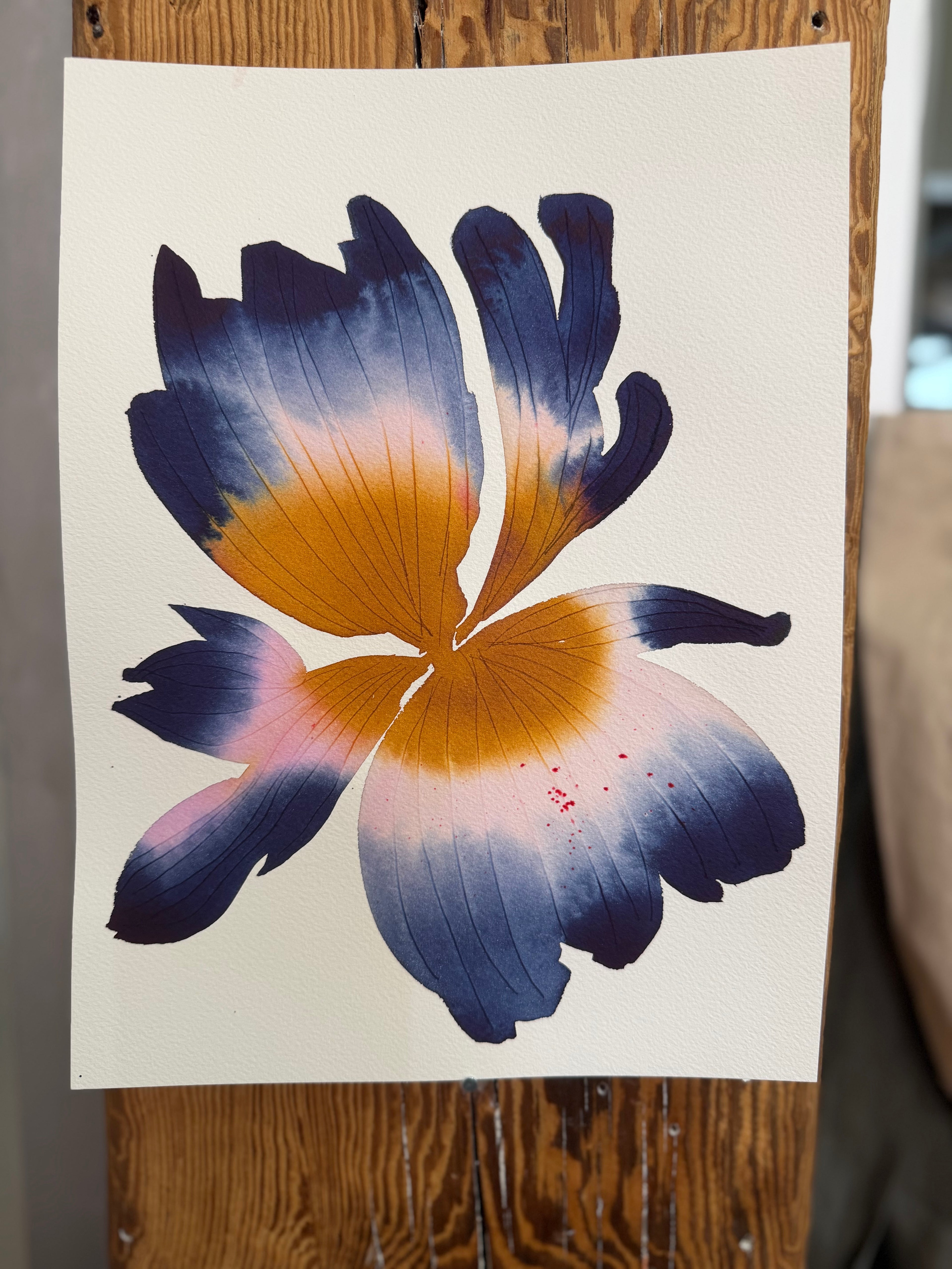 Medium inky iris 3