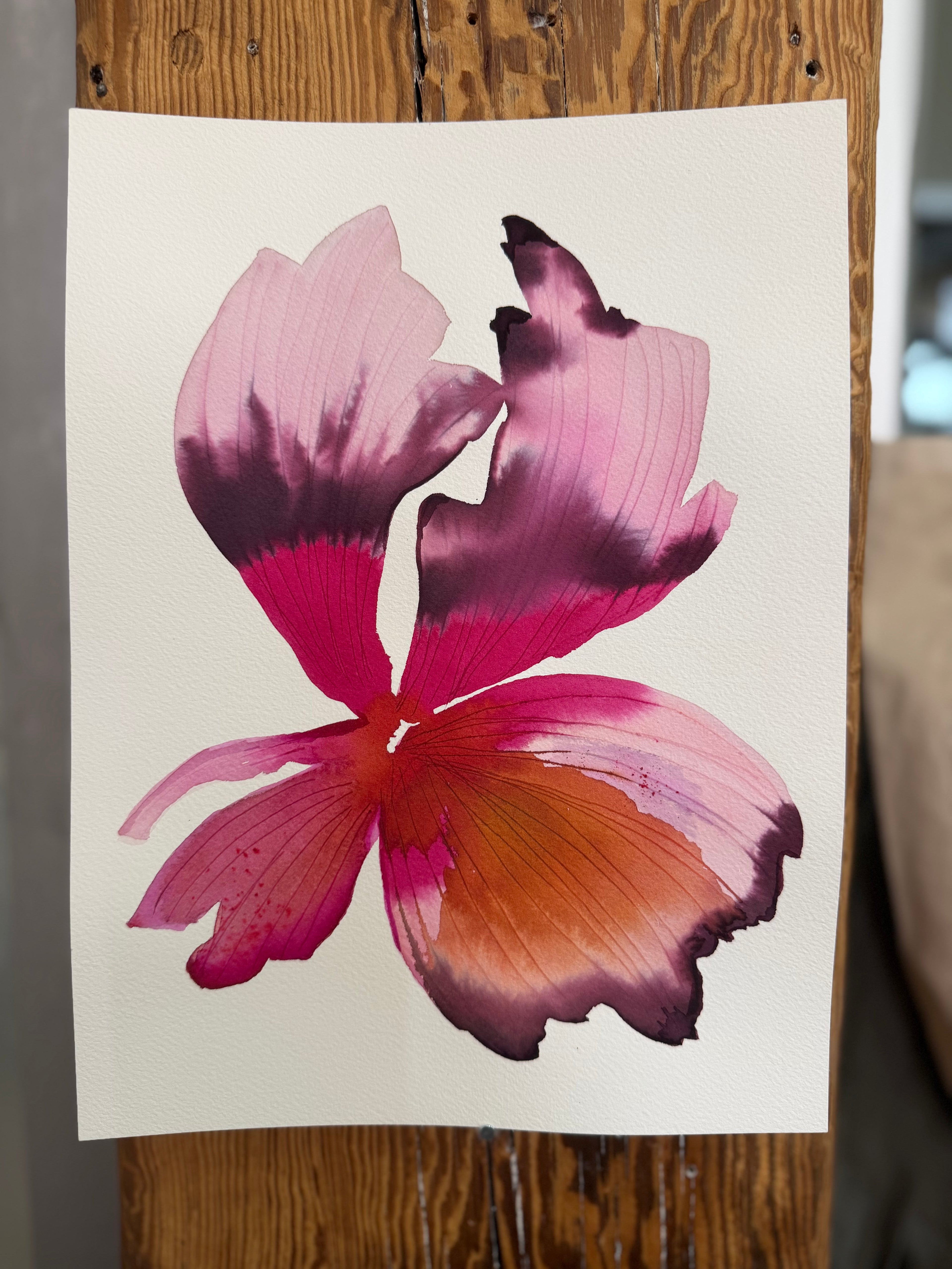 Medium inky iris 5
