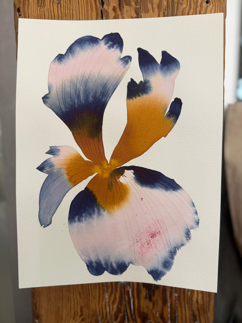 Medium inky iris 8