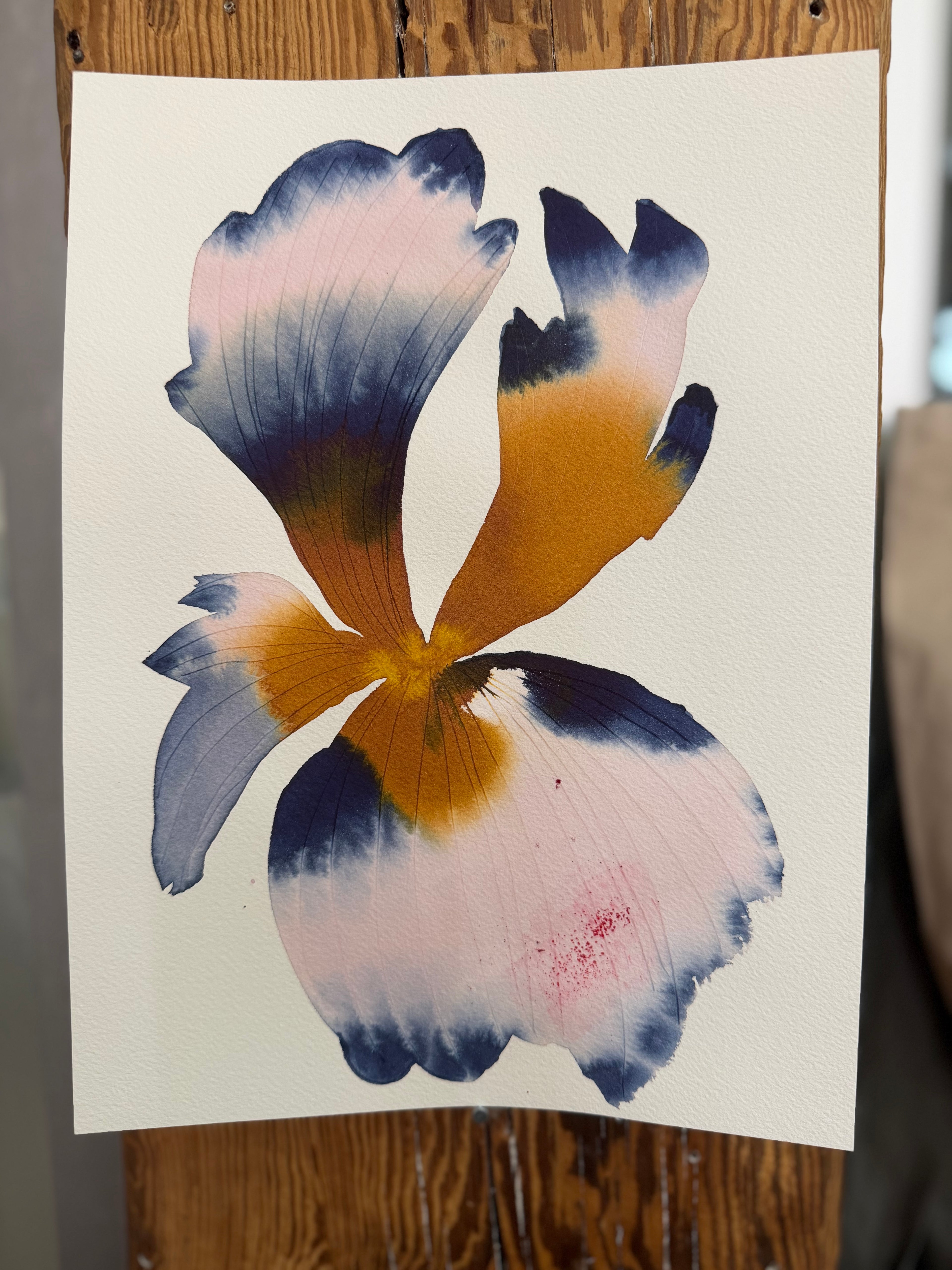 Medium inky iris 8