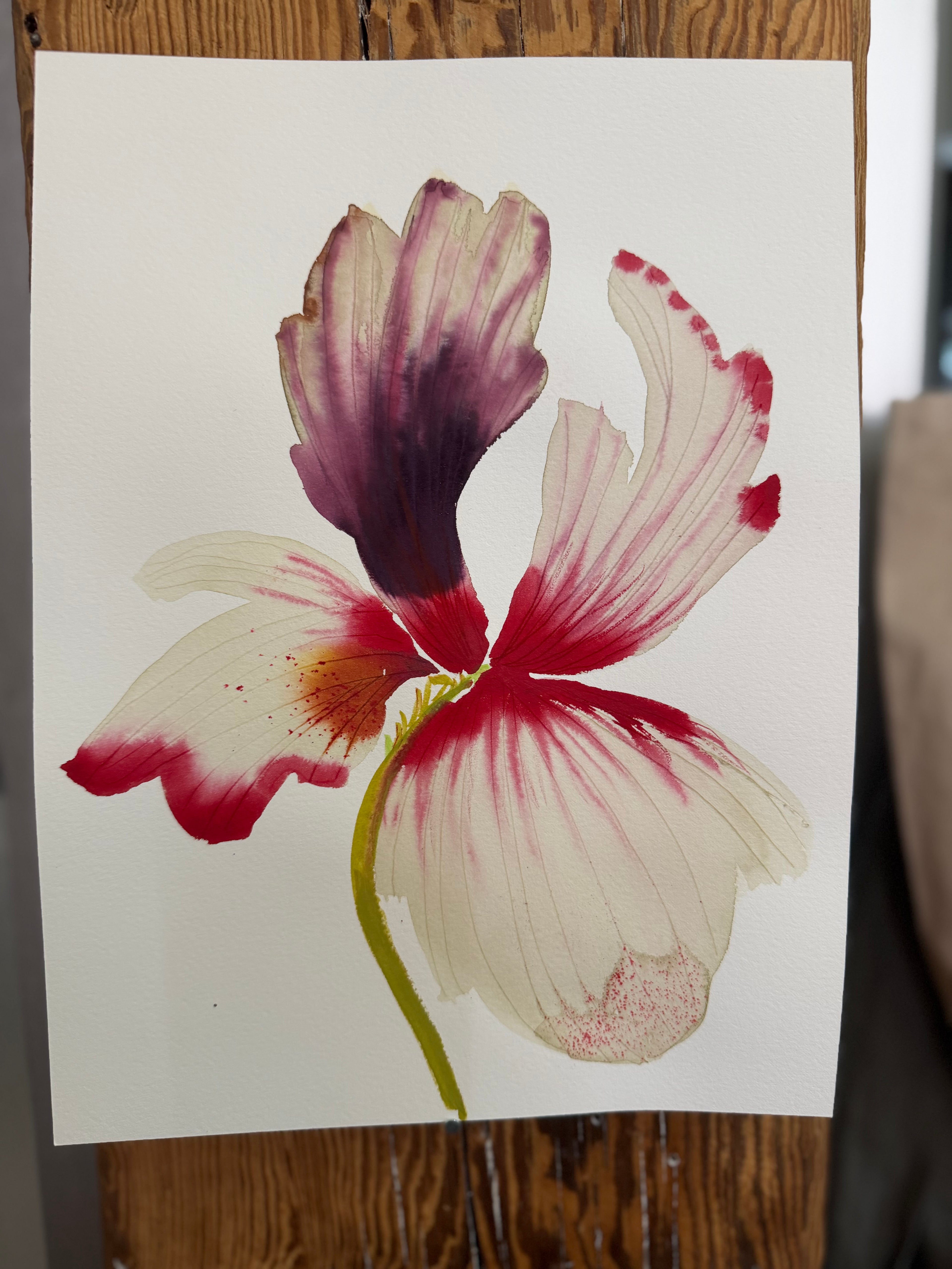 Medium inky iris 7