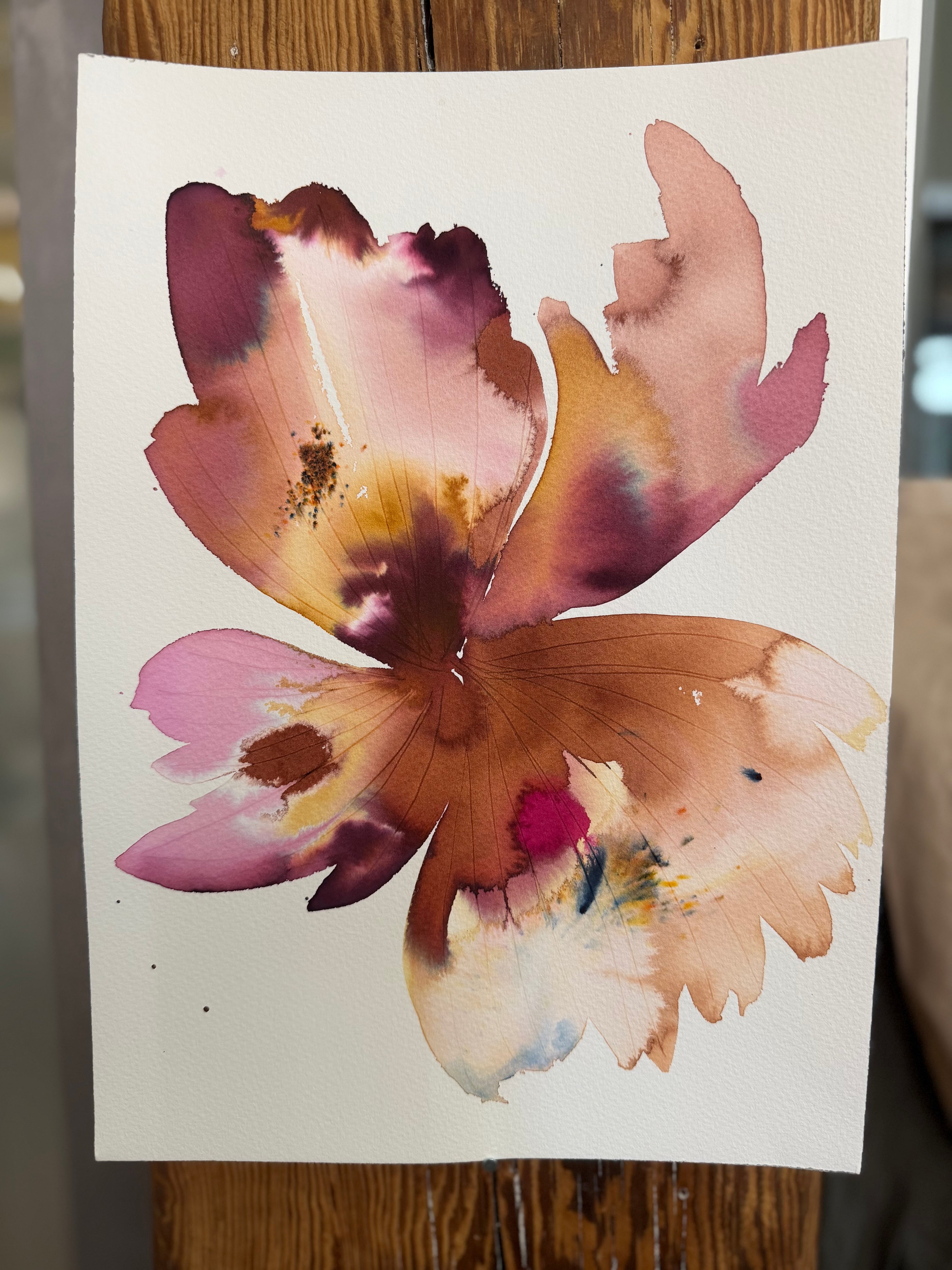 Large inky Iris 1