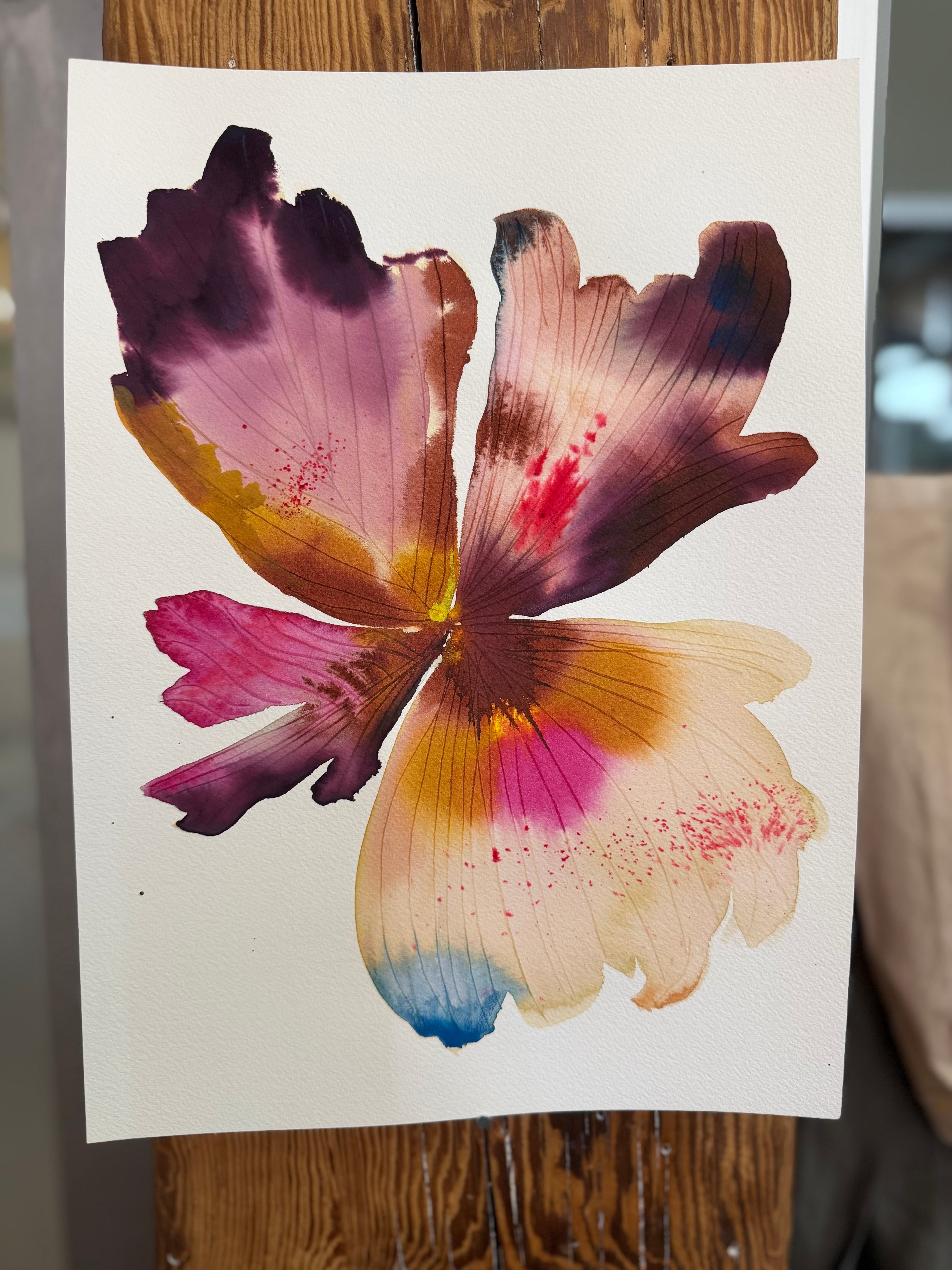 Large inky iris 3