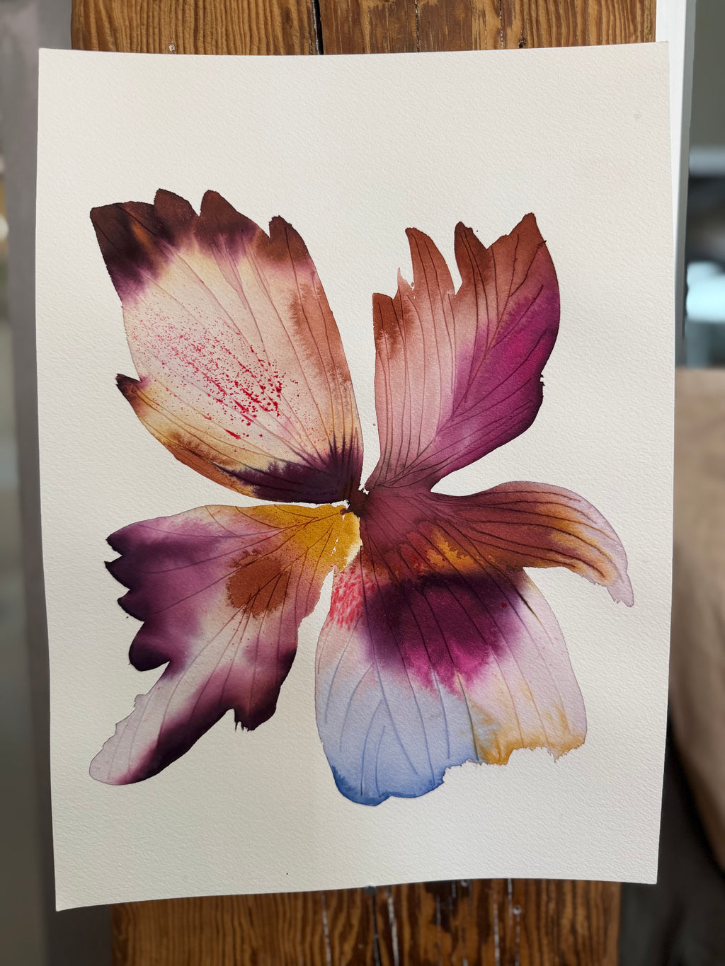 Large inky iris 2
