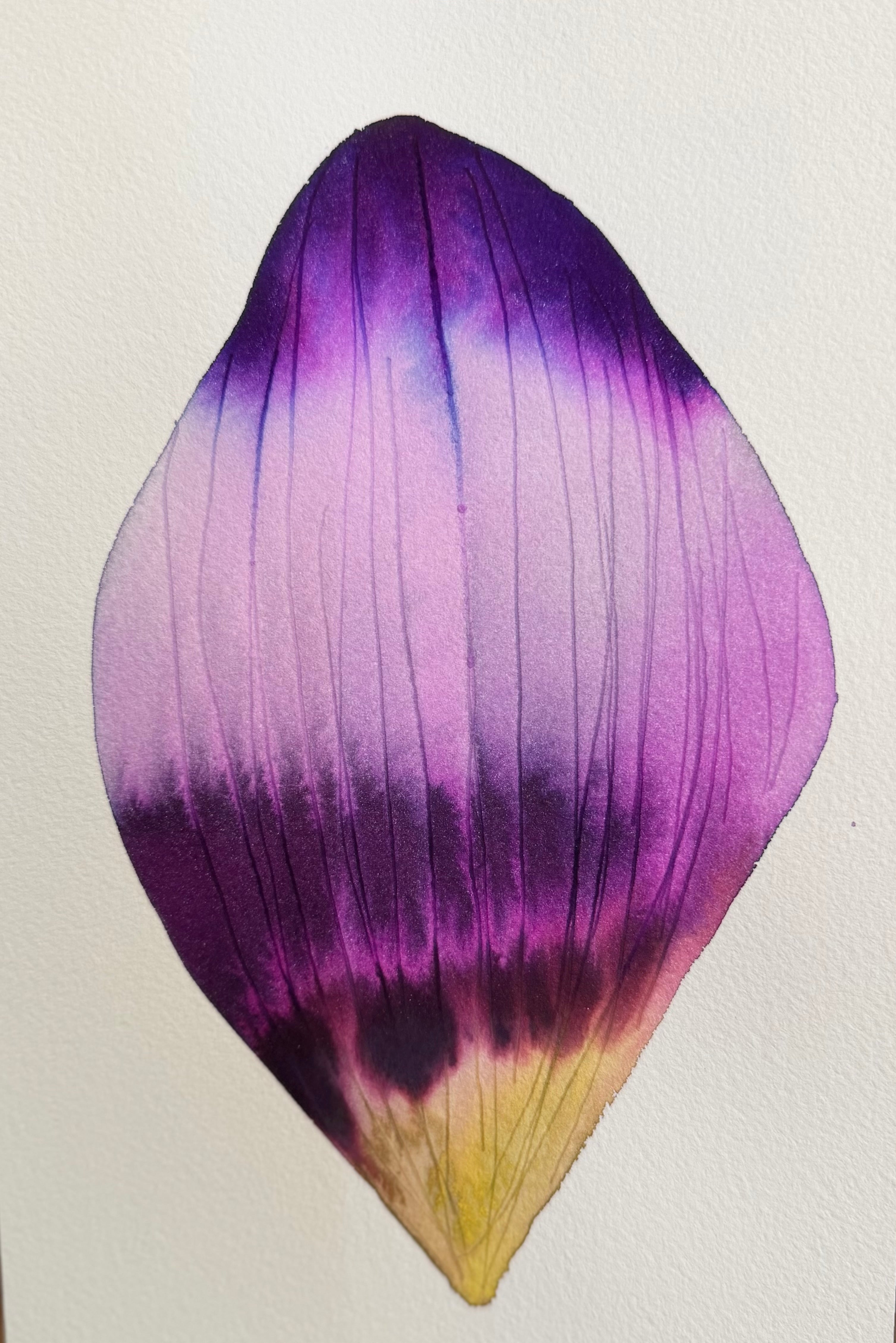 Small inky petal 5