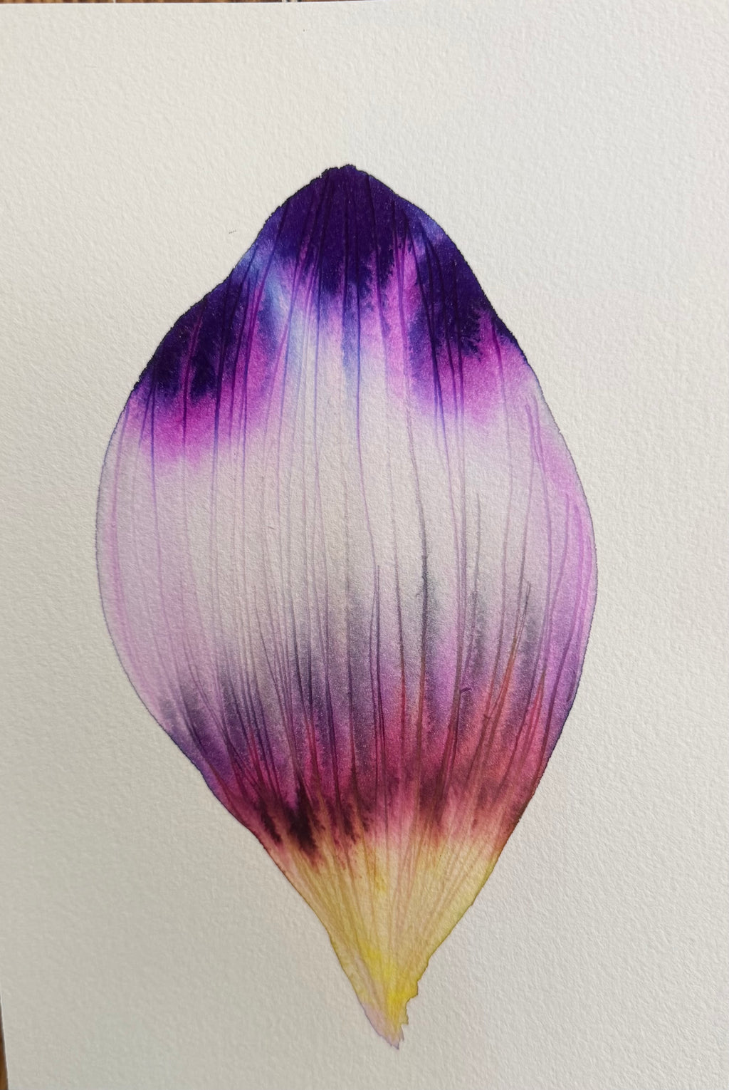 Small inky petal 1