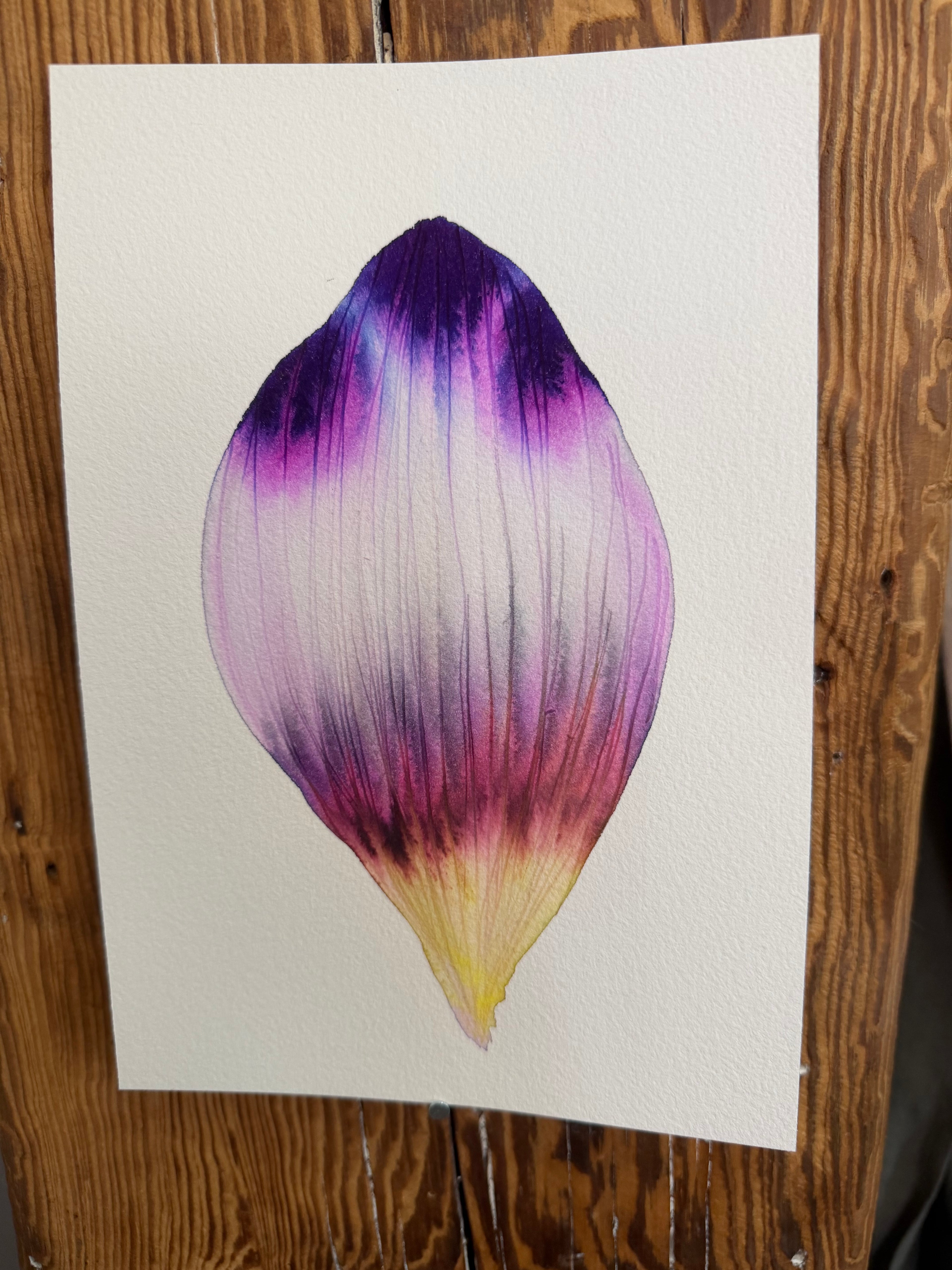Small inky petal 1