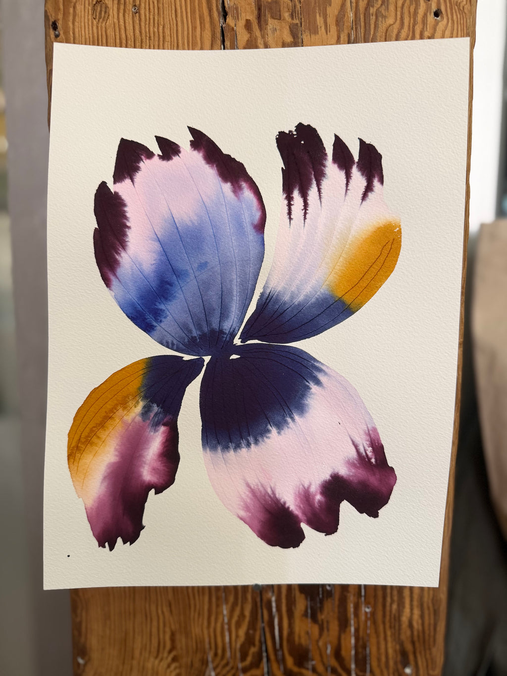 Medium inky iris 4