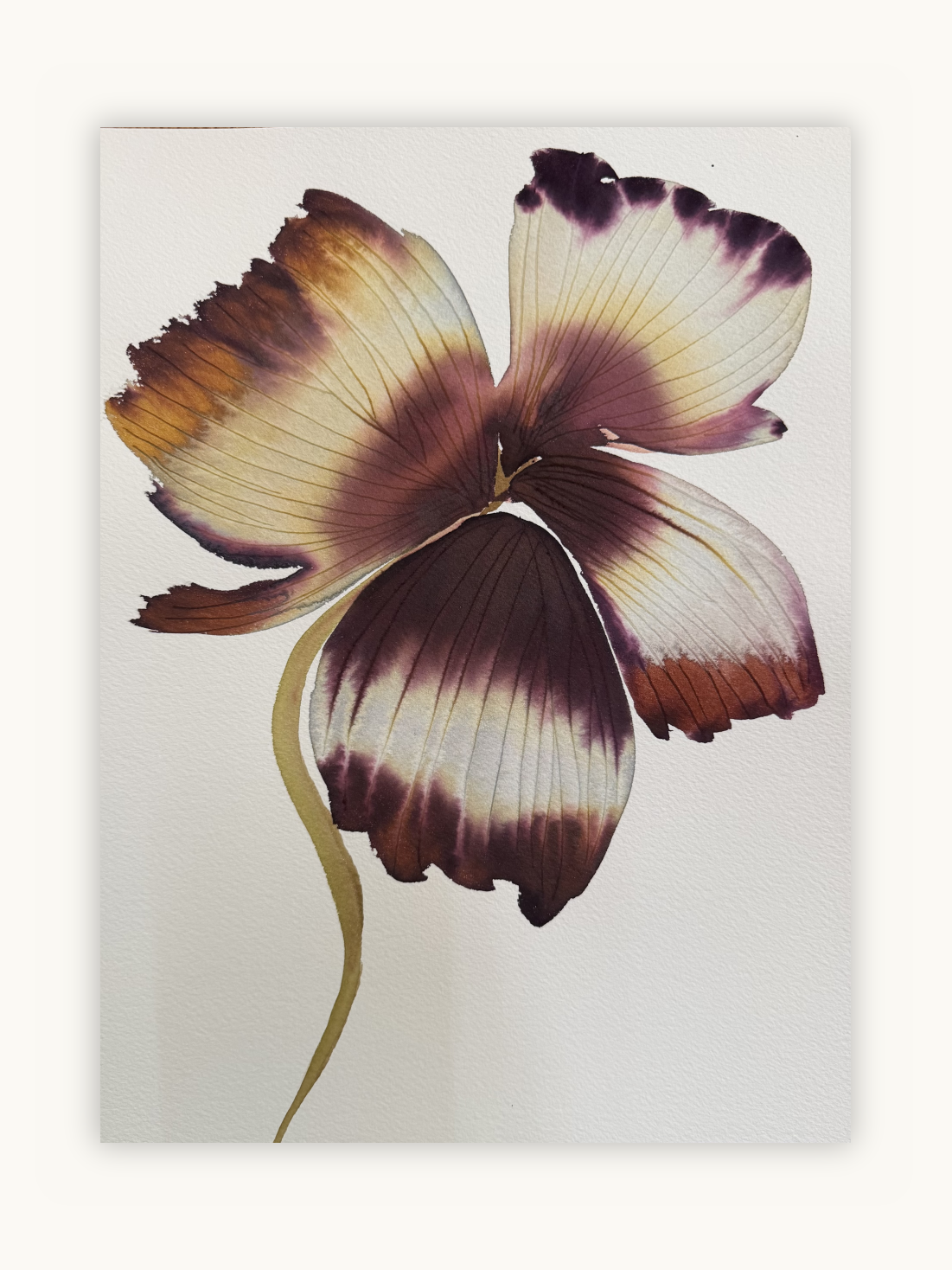 Medium inky iris 6