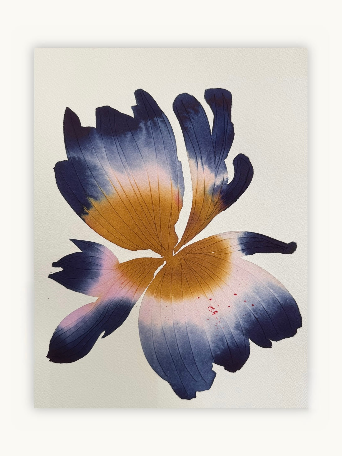 Medium inky iris 3
