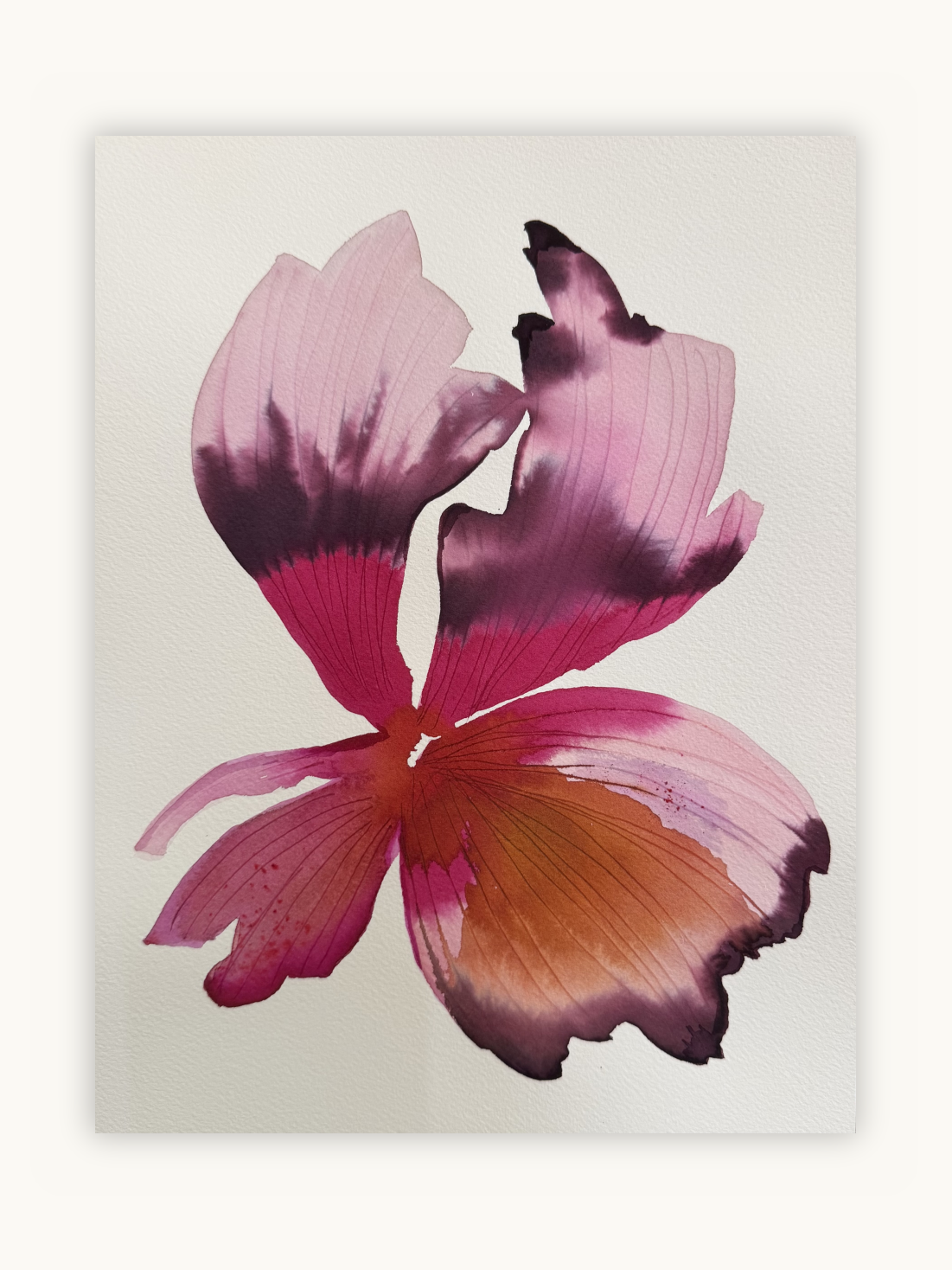Medium inky iris 5