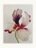Medium inky iris 7
