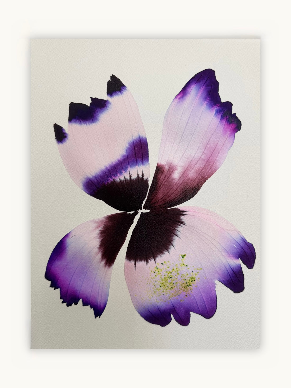 Medium inky iris 1
