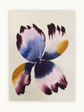 Medium inky iris 4