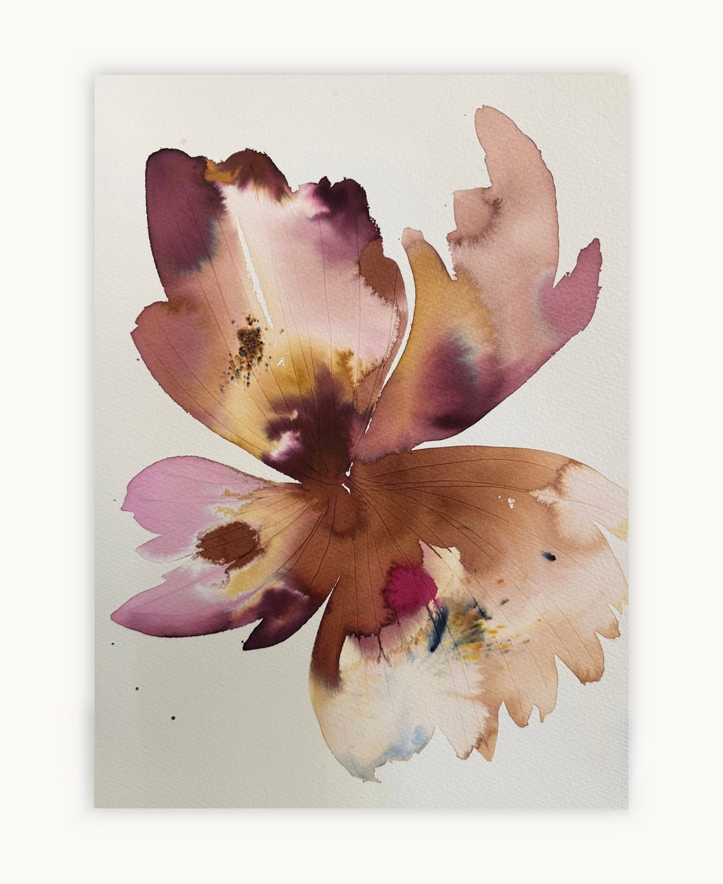 Large inky Iris 1