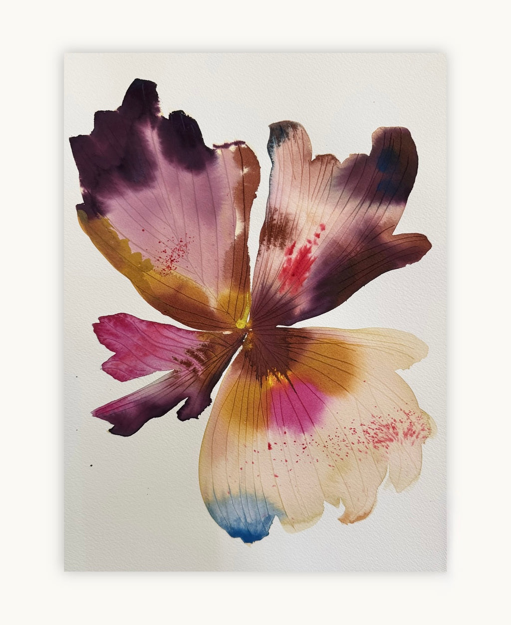 Large inky iris 3