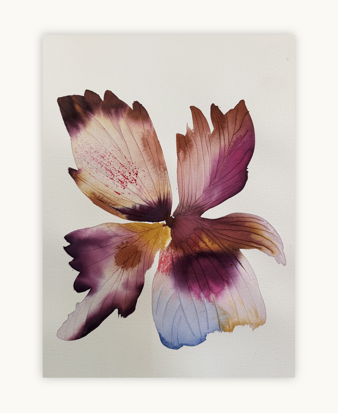 Large inky iris 2