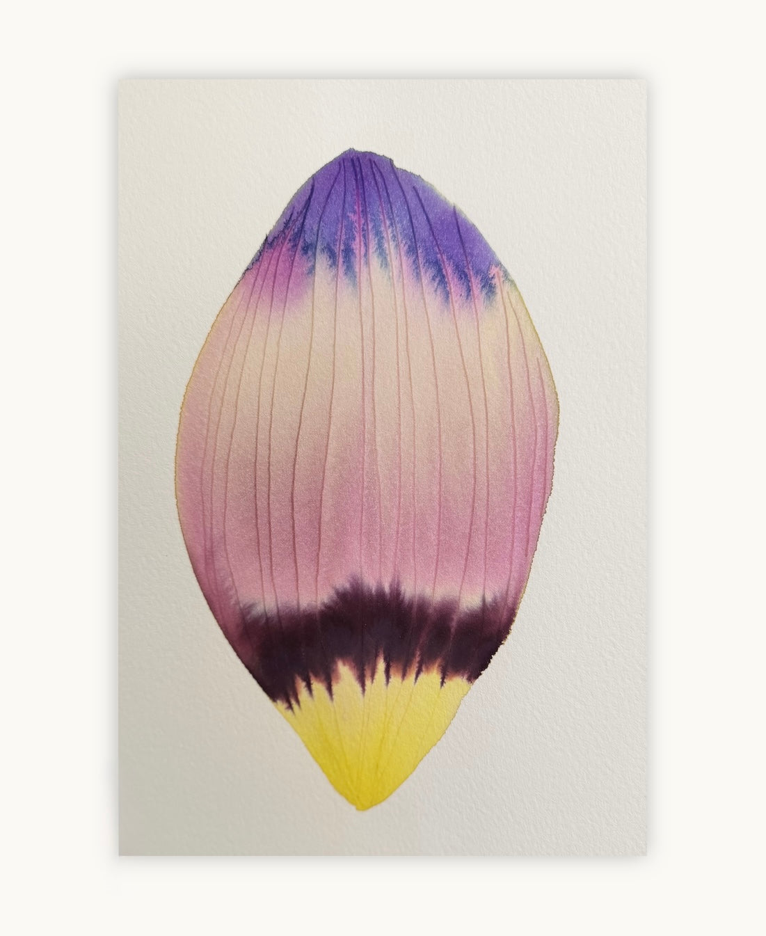 Small inky petal 4