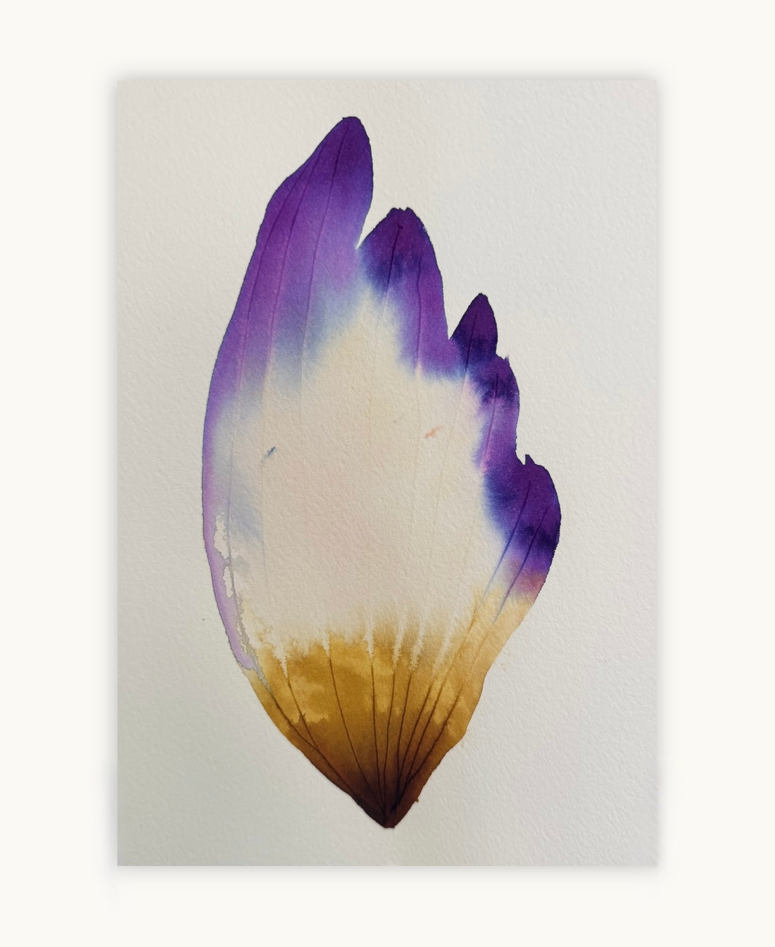 Small inky petal 2