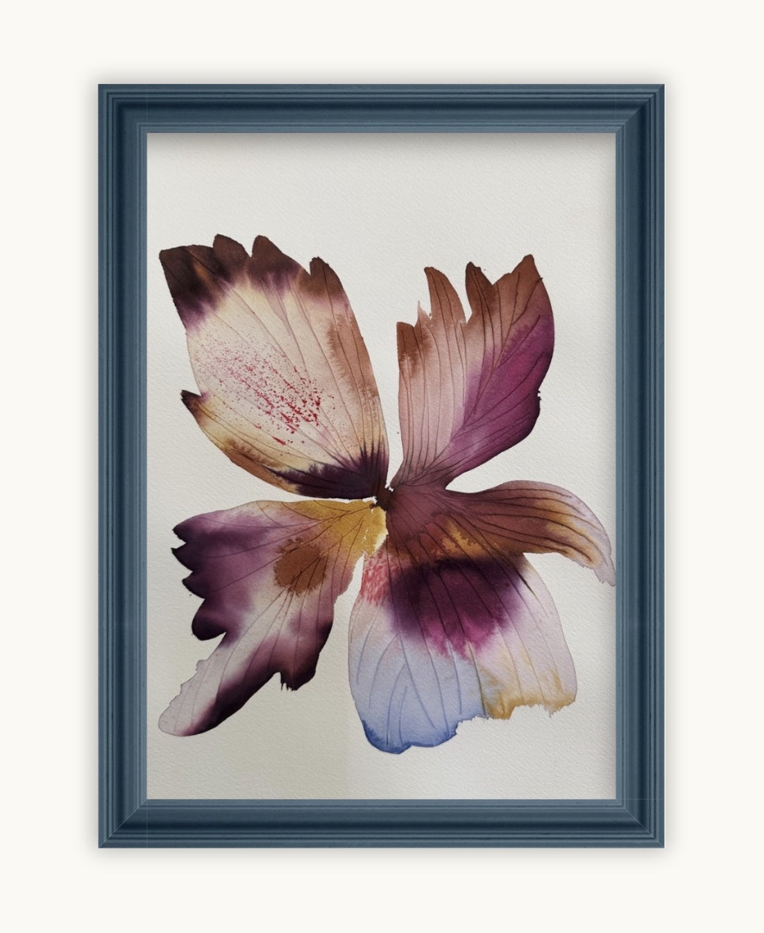 Large inky iris 2