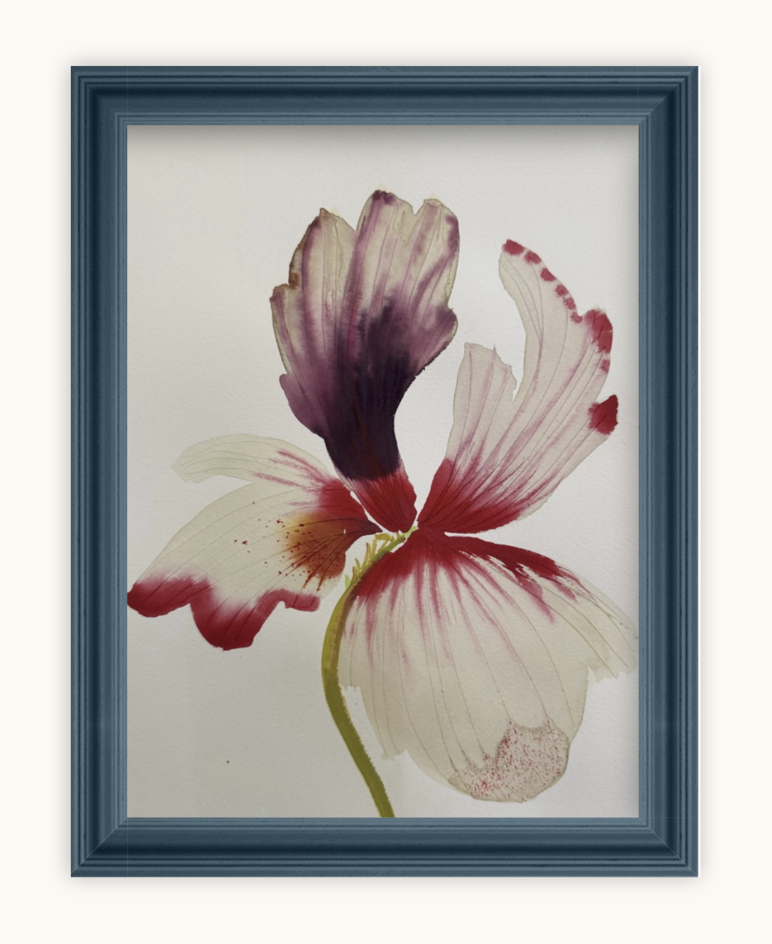 Medium inky iris 7