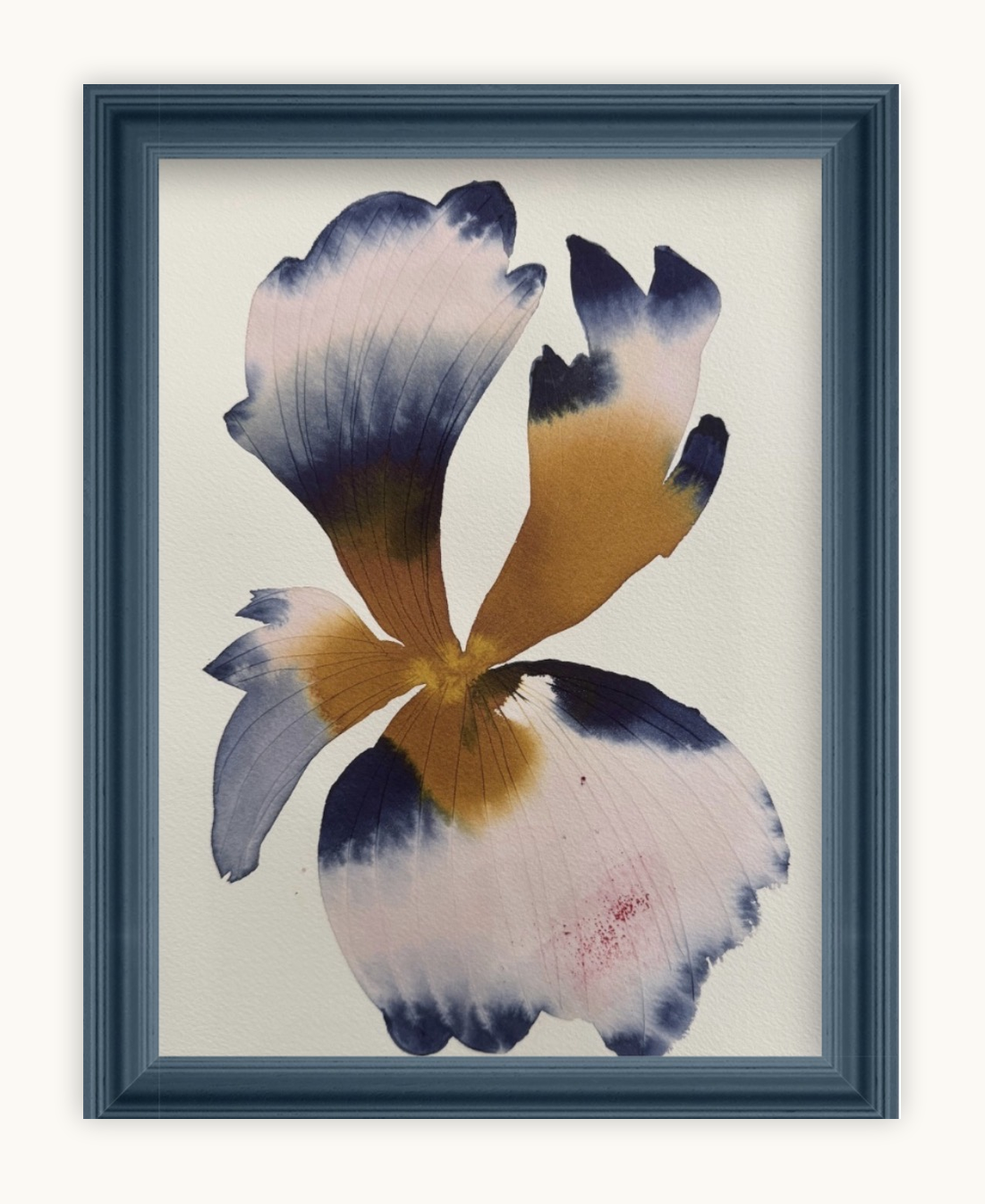 Medium inky iris 8