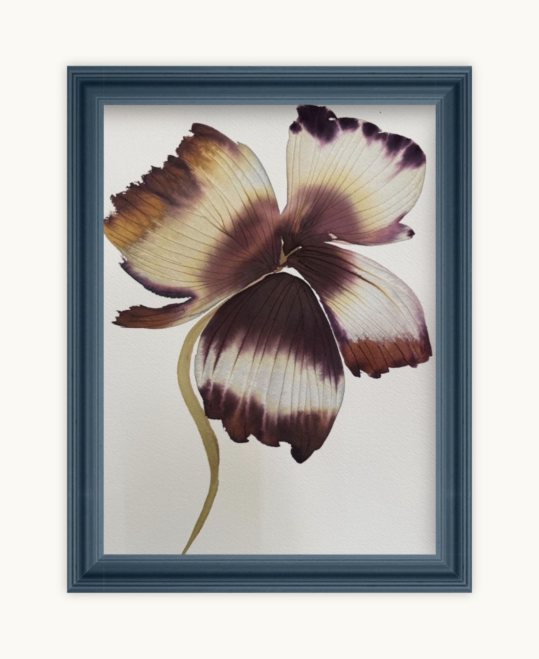 Medium inky iris 6