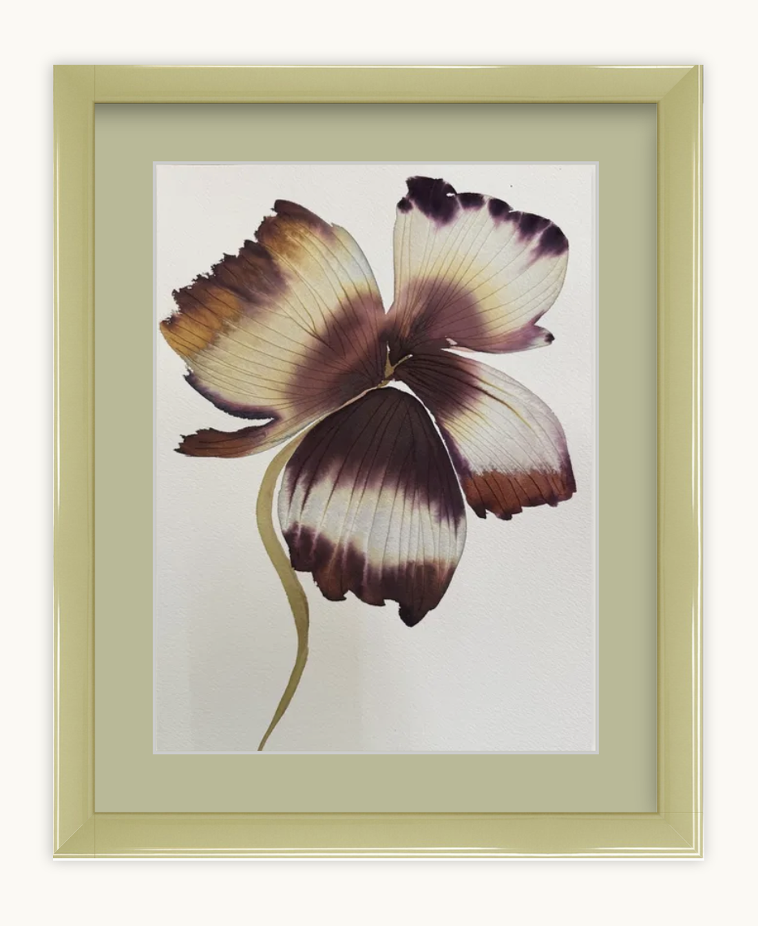 Medium inky iris 6