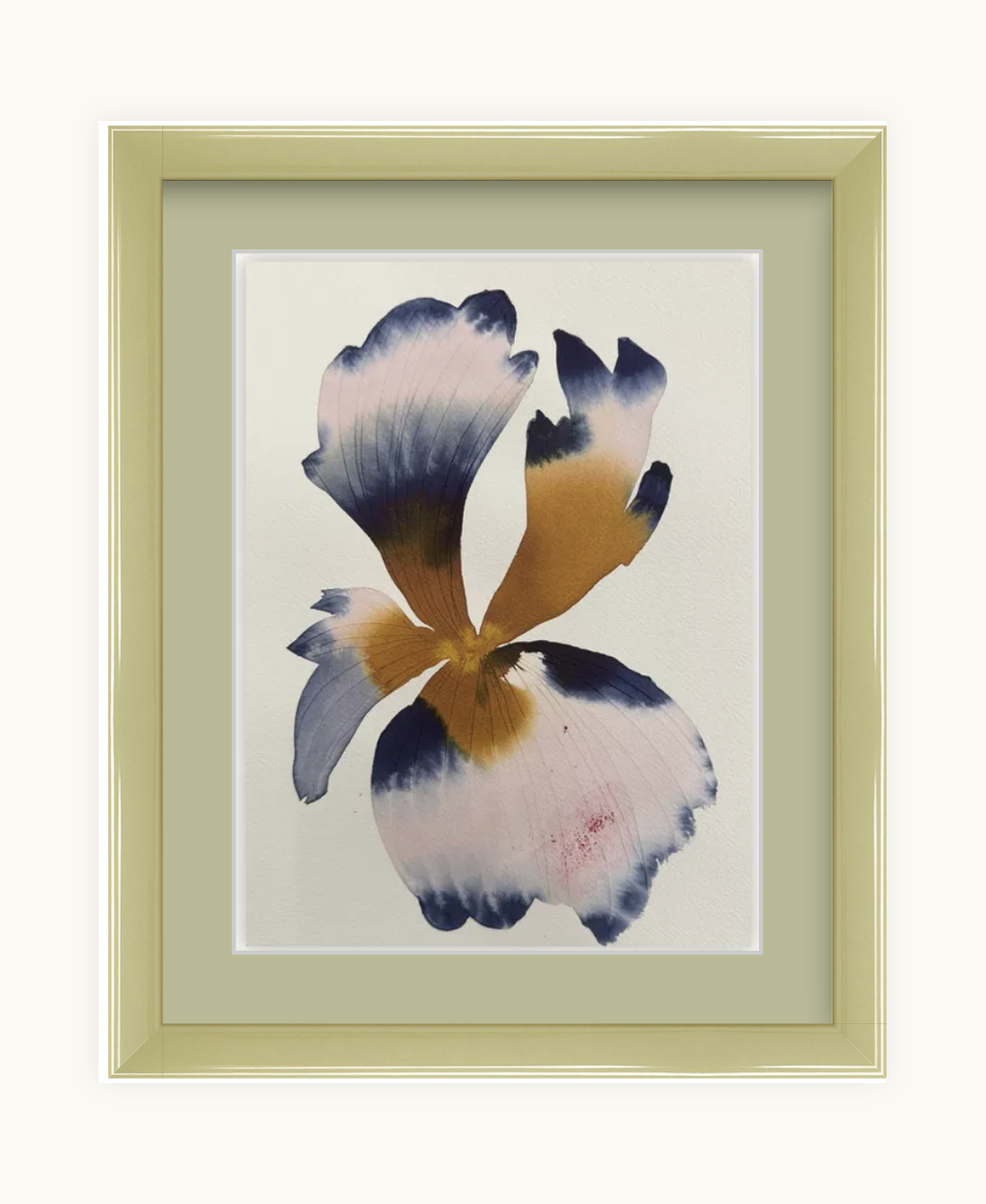 Medium inky iris 8