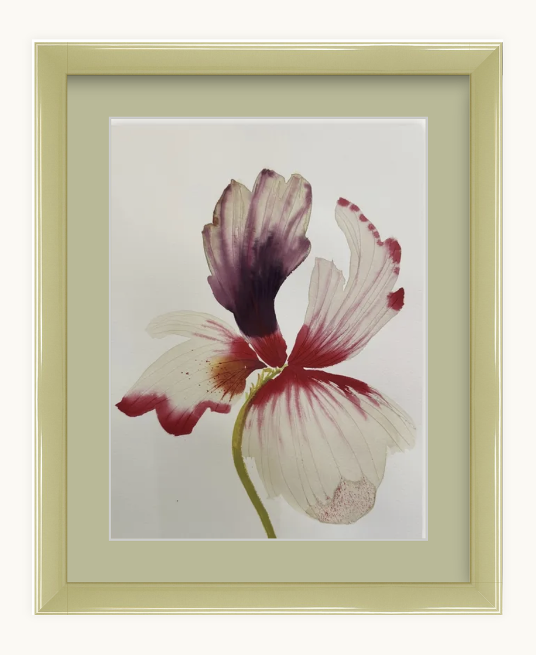 Medium inky iris 7