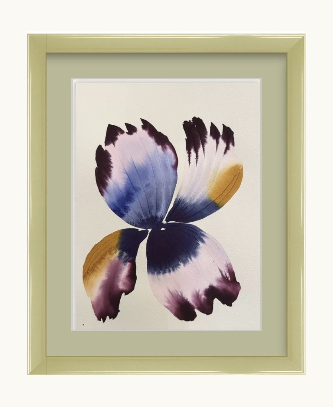 Medium inky iris 4